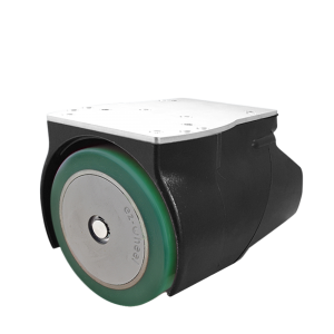 roue electrique serie 150i S 02